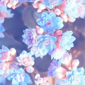 Meet your Posher, Lg